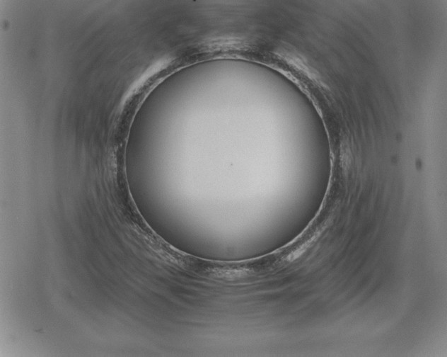 X0000080171309200612221241