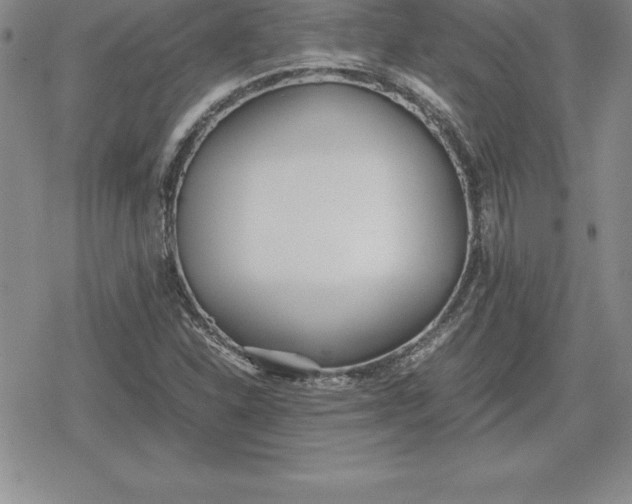 X0000080171310200612221241