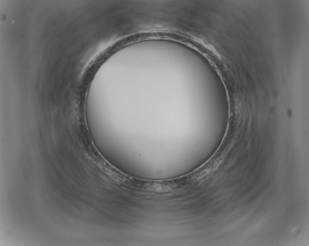 X0000080171311200612221241