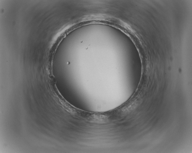 X0000080171312200612221241