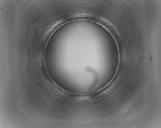 X0000080171313200612221241