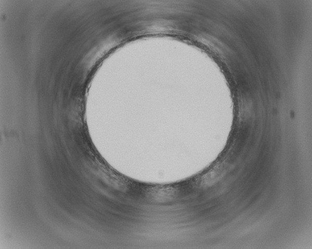 X0000080171314200612221241