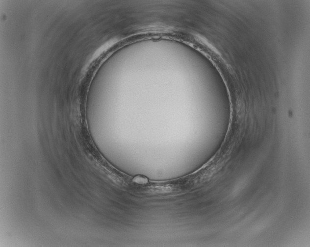 X0000080171315200612221241