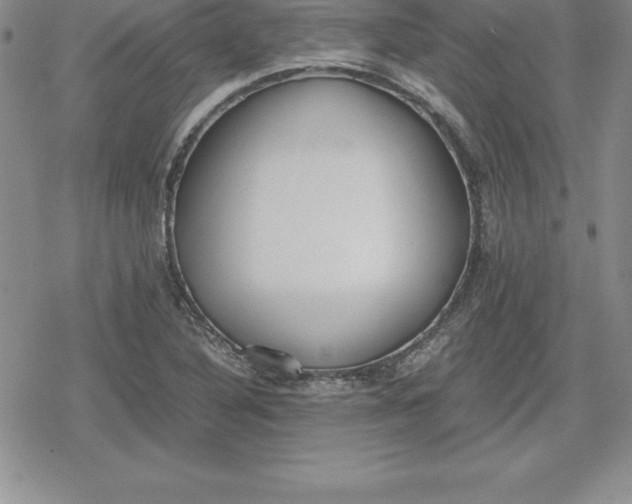 X0000080171316200612221241