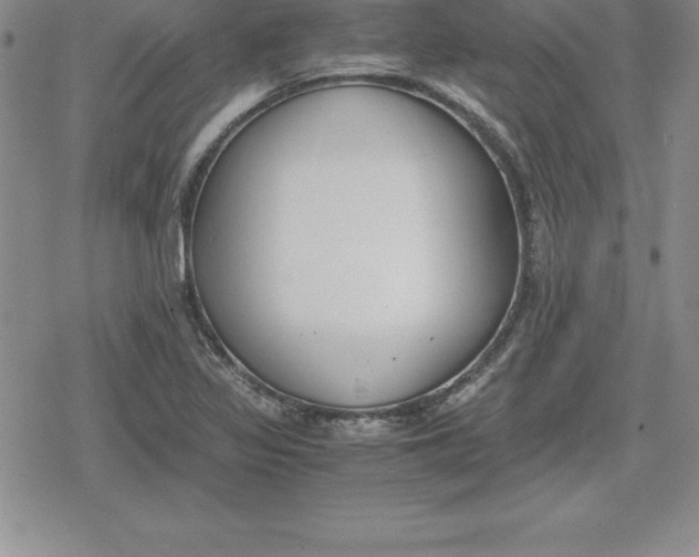 X0000080171317200612221241