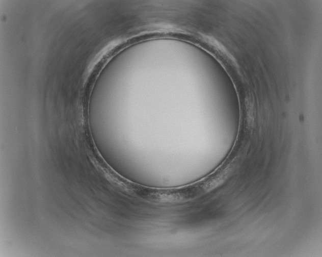 X0000080171318200612221241