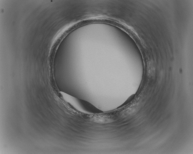 X0000080171319200612221241