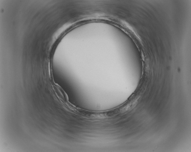 X0000080171320200612221241