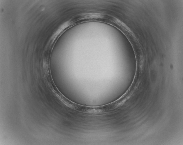 X0000080171321200612221241