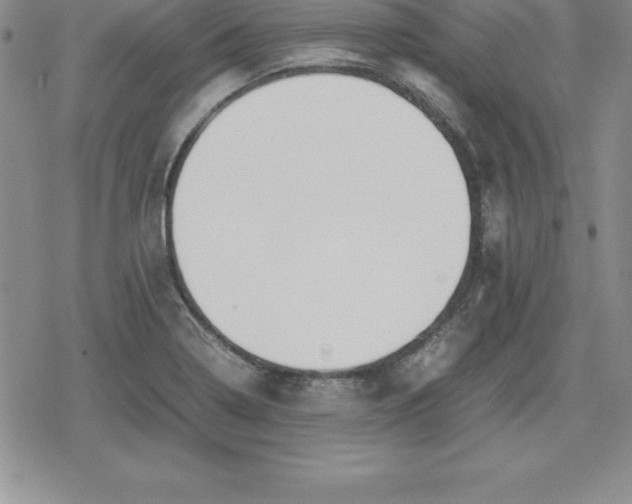 X0000080171322200612221241