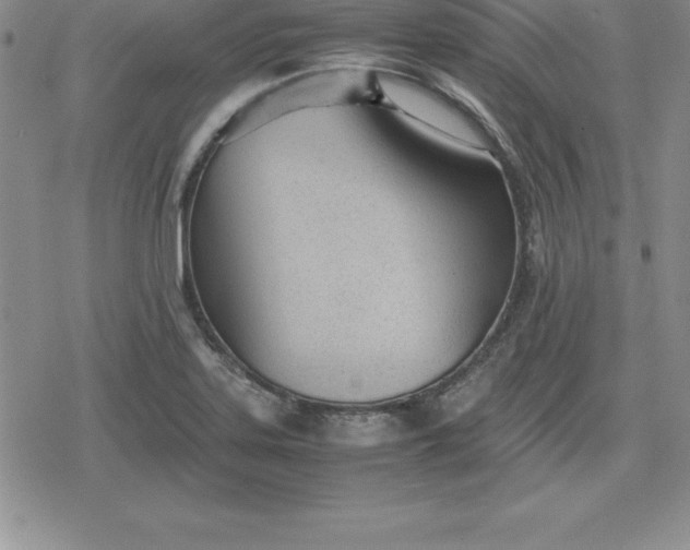 X0000080171323200612221241