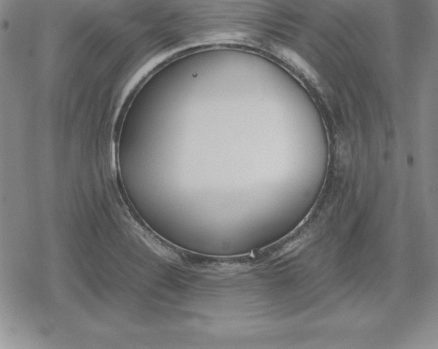 X0000080171324200612221241