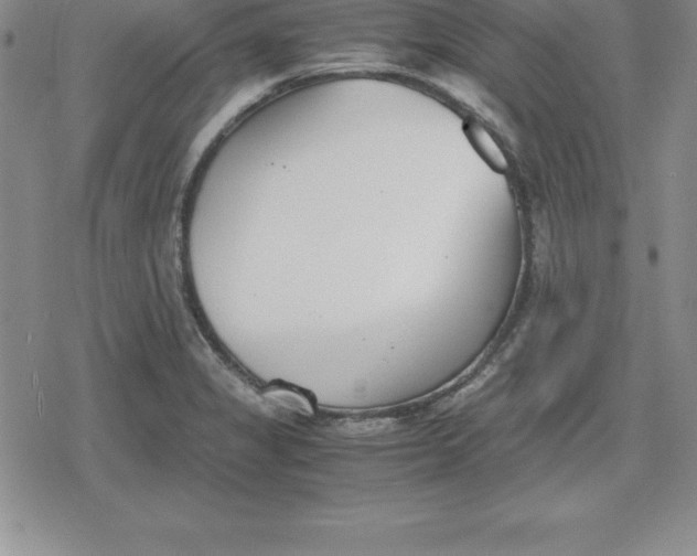 X0000080171325200612221241