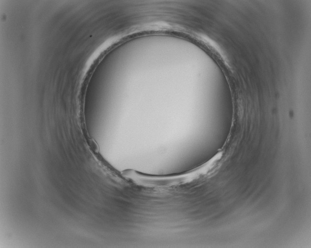 X0000080171326200612221241