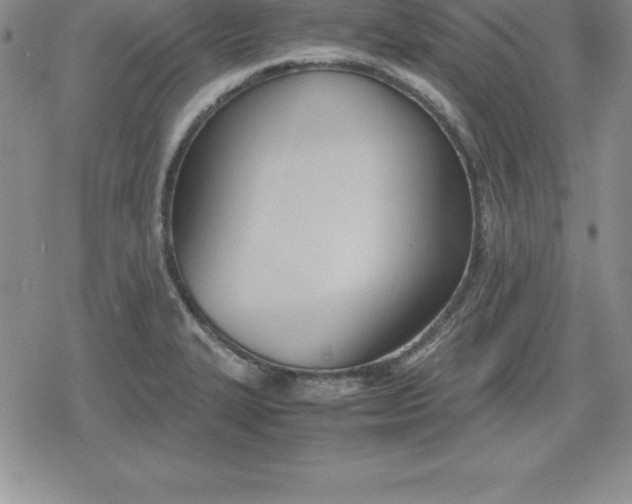 X0000080171327200612221241