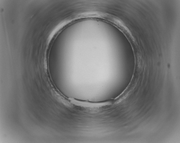 X0000080171328200612221241