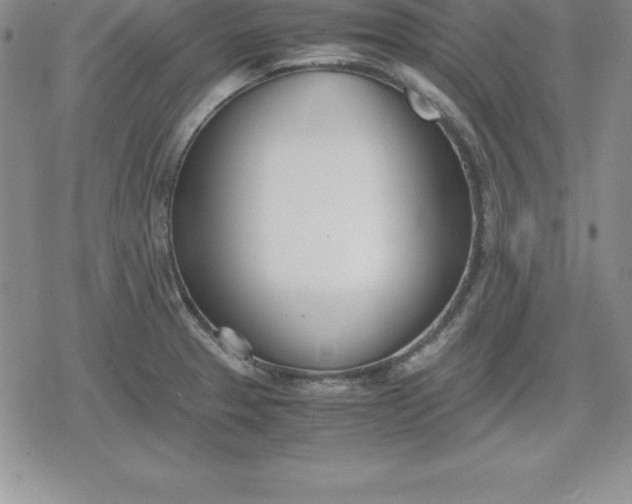 X0000080171329200612221241