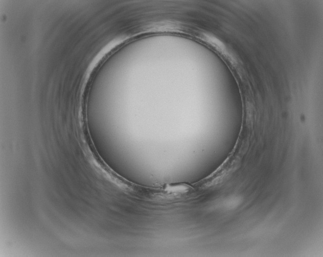 X0000080171331200612221241