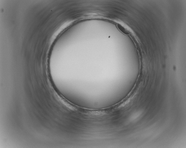 X0000080171333200612221241