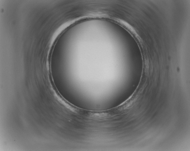 X0000080171335200612221241