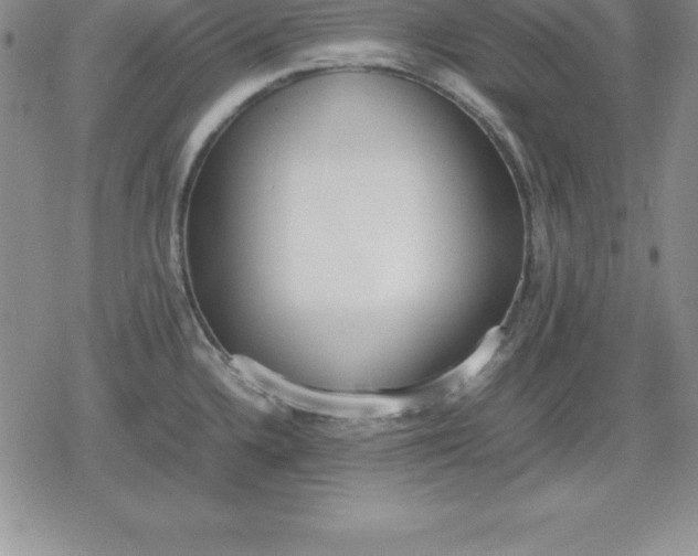 X0000080171336200612221241