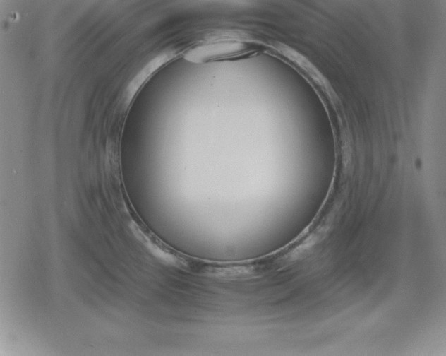 X0000080171337200612221241