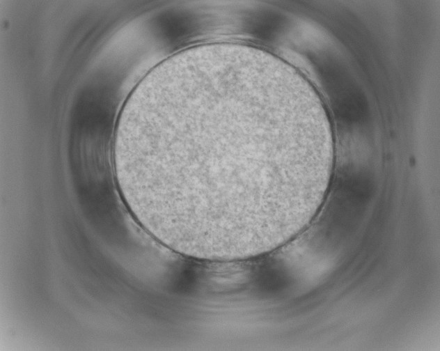 X0000080171338200612221241