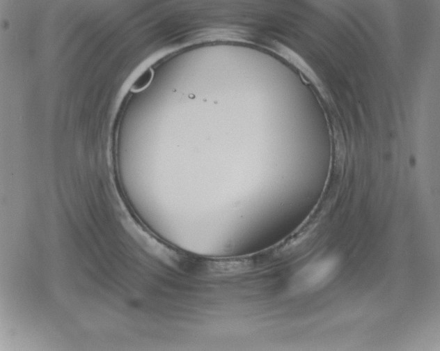 X0000080171339200612221241