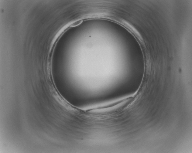 X0000080171340200612221241