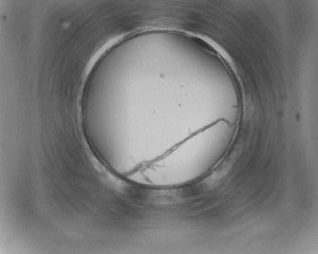 X0000080171341200612221241