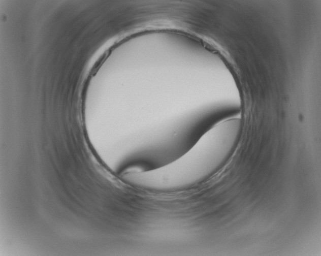 X0000080171342200612221241