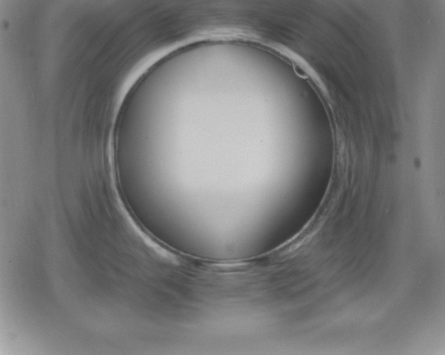 X0000080171343200612221241