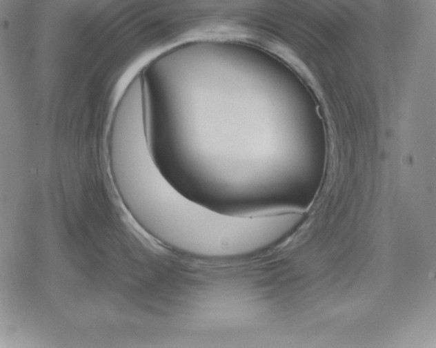 X0000080171344200612221241