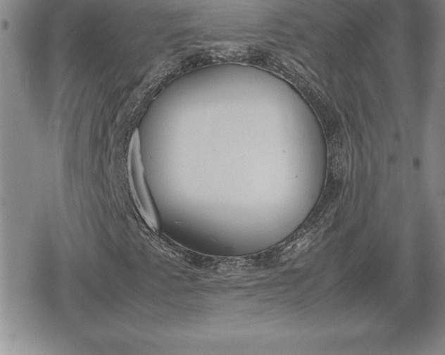 X0000080171345200612221240