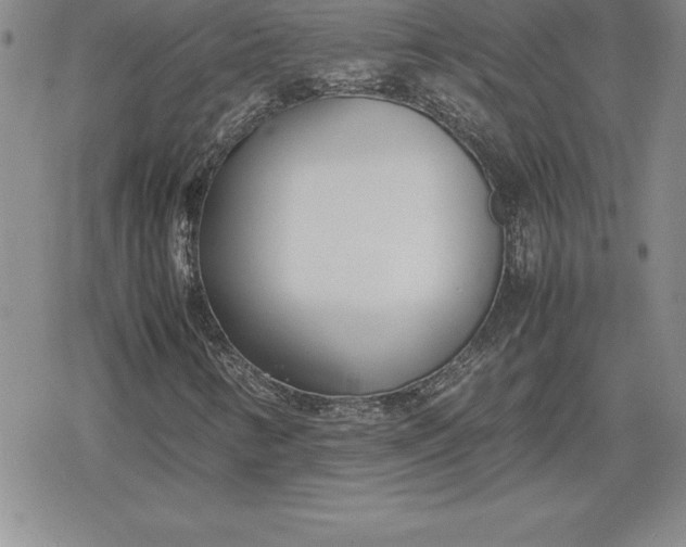 X0000080171346200612221240