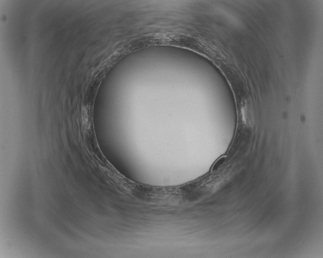 X0000080171347200612221240