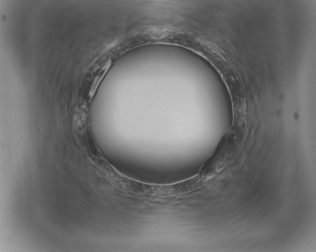 X0000080171349200612221240