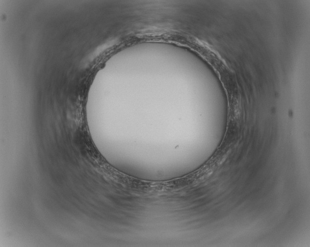 X0000080171350200612221240