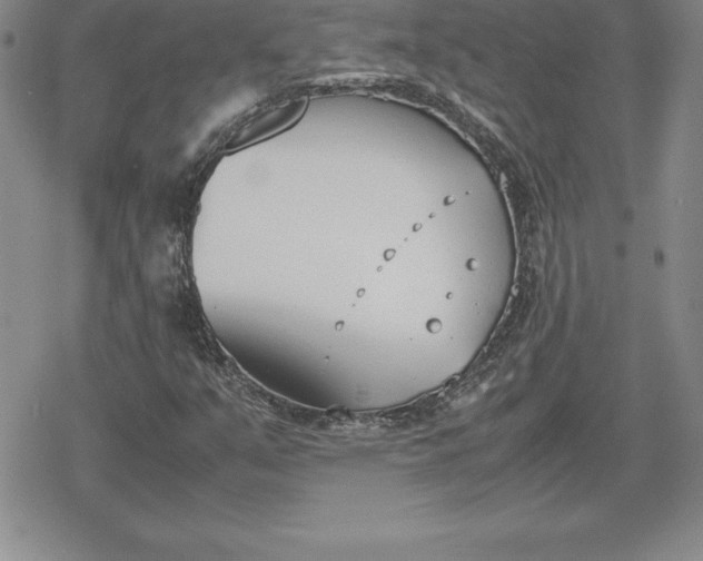 X0000080171351200612221240