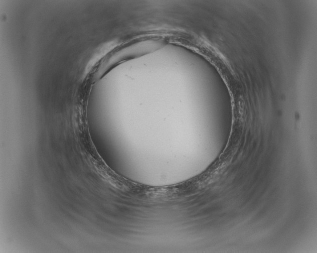 X0000080171352200612221240