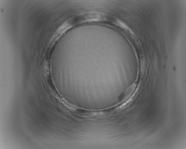 X0000080171353200612221240