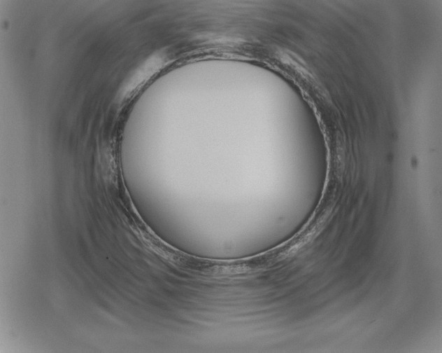 X0000080171354200612221240