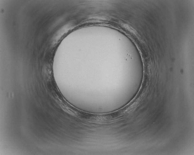 X0000080171355200612221240