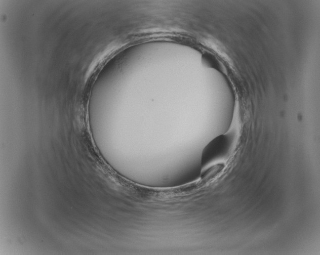 X0000080171357200612221240