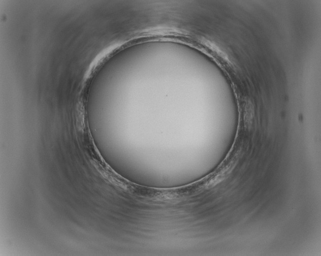 X0000080171358200612221240