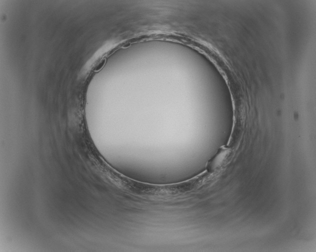 X0000080171359200612221240