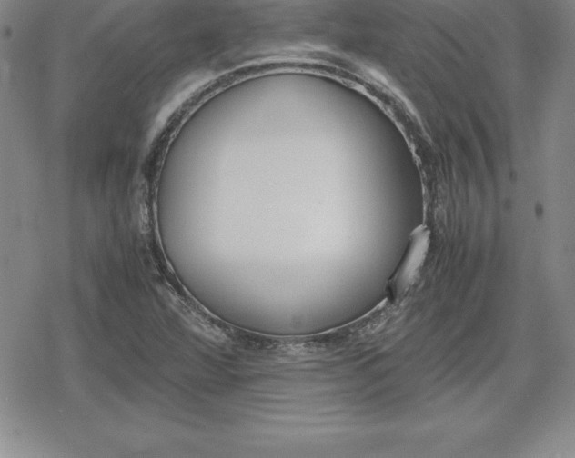 X0000080171360200612221240