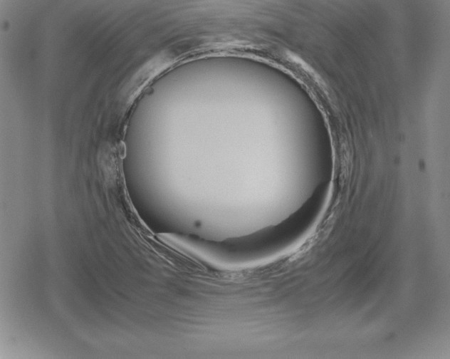 X0000080171361200612221240