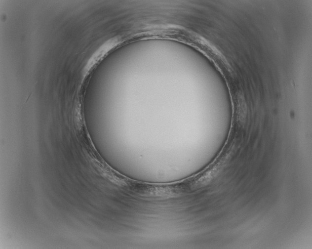 X0000080171362200612221240