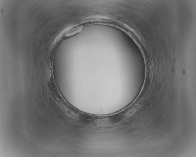 X0000080171363200612221240